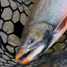 Feather Craft Pursuits - Alaska Trophy Adventures Lodge - Feather Craft Fly Fishing