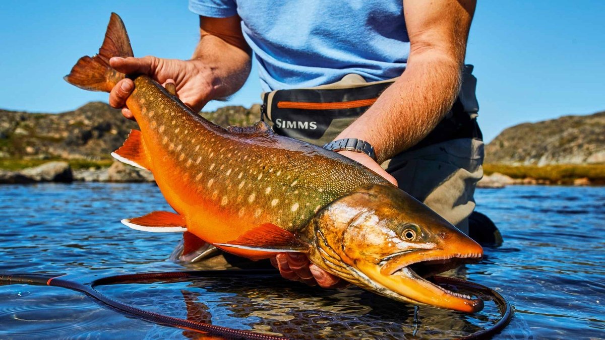 Feather Craft Pursuits - Camp North, Greenland | August 14-25 2028 - Feather Craft Fly Fishing