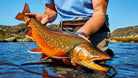 Feather Craft Pursuits - Camp North, Greenland | August 14-25 2028 - Feather Craft Fly Fishing