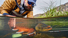 Feather Craft Pursuits - Camp North, Greenland | August 14-25 2028 - Feather Craft Fly Fishing