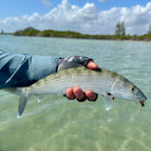 Feather Craft Pursuits - El Pescador Lodge Belize - Feather Craft Fly Fishing