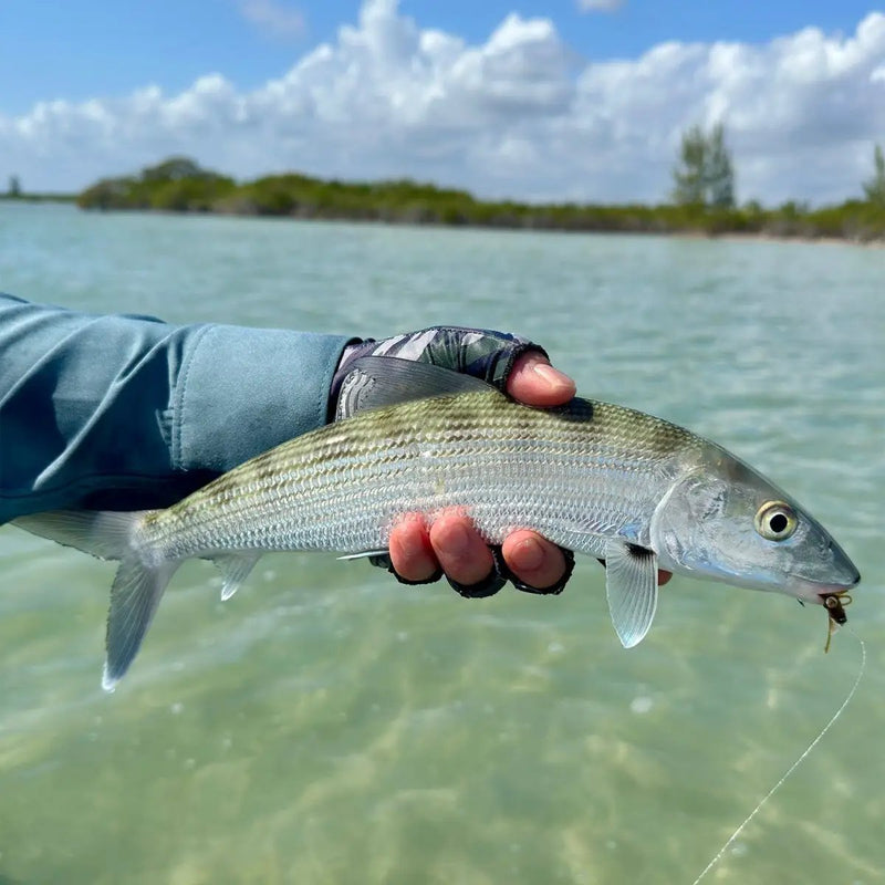 El Pescador Lodge Belize | Hosted Week by Feather Craft Pursuits