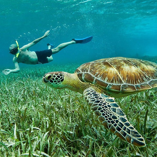 Feather Craft Pursuits - El Pescador Lodge Belize - Feather Craft Fly Fishing