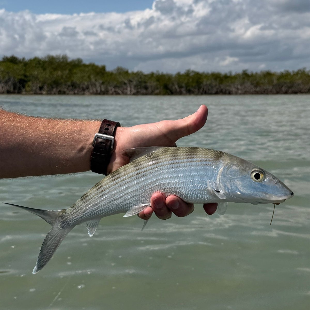 Feather Craft Pursuits - El Pescador Lodge Belize - Feather Craft Fly Fishing