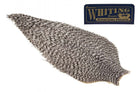 Feather Craft - Whiting American Rooster Capes Grizzly - Feather Craft Fly Fishing