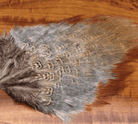 Feather Craft - Wild Cock Ringneck Pheasant Rump Patches - Feather Craft Fly Fishing