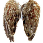 Feather Craft - Wild Hungarian Partridge Wing Pairs - Feather Craft Fly Fishing