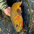 Feather Craft - Wyoming Hosted Travel: Wind River Range - Feather Craft Fly Fishing