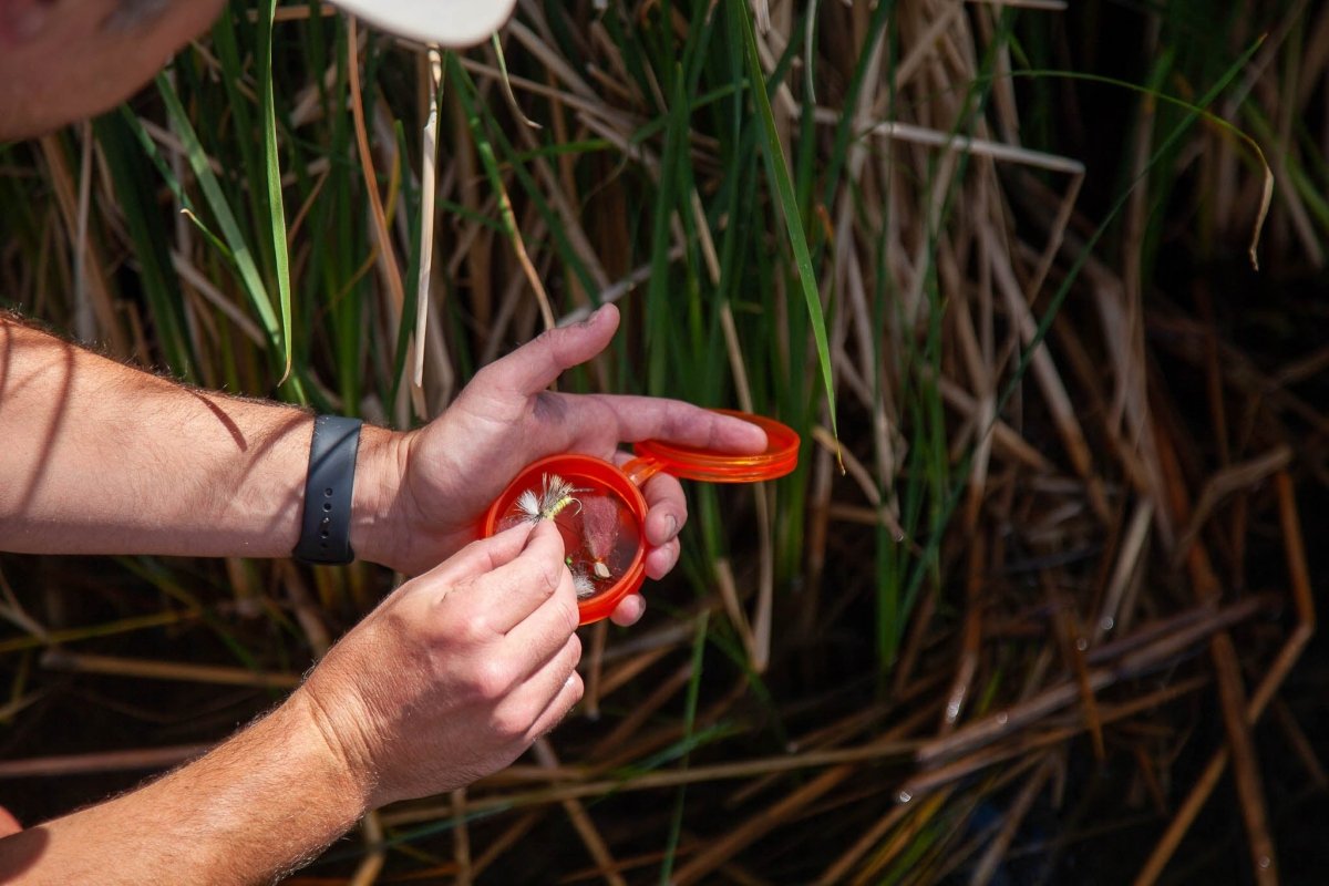 Fishpond - Fishpond Fly Puck - Feather Craft Fly Fishing