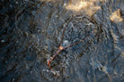 Fishpond - Nomad Yampa Hand Net - Feather Craft Fly Fishing