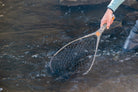 Fishpond - Nomad Yampa Hand Net - Feather Craft Fly Fishing