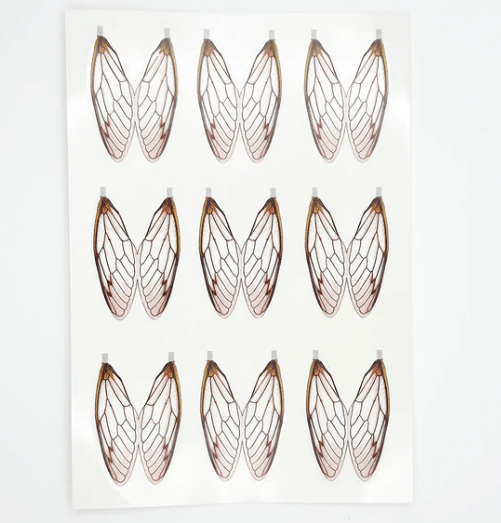 Flymen Fishing Company - Surface Seducer Cicada Wings - Feather Craft Fly Fishing