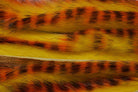 Fulling Mill - Fulling Mill Premium Micro - Cut Rabbit Strips - Feather Craft Fly Fishing