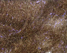 Hareline Dubbin - Bruiser Blend Dubbing - Feather Craft Fly Fishing