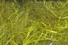 Hareline Dubbin - Cohens Carp Dub - Feather Craft Fly Fishing