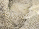 Hareline Dubbin - Dyed Mallard Flank - Feather Craft Fly Fishing