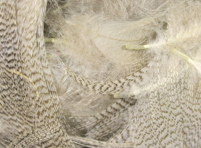 Hareline Dubbin - Dyed Mallard Flank - Feather Craft Fly Fishing