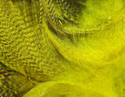 Hareline Dubbin - Dyed Mallard Flank - Feather Craft Fly Fishing