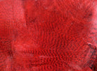 Hareline Dubbin - Dyed Mallard Flank - Feather Craft Fly Fishing