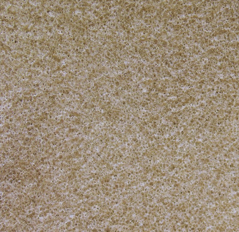 Hareline Dubbin - Furry Foam - Feather Craft Fly Fishing