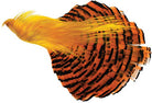 Hareline Dubbin - Golden Pheasant Complete Head - Feather Craft Fly Fishing