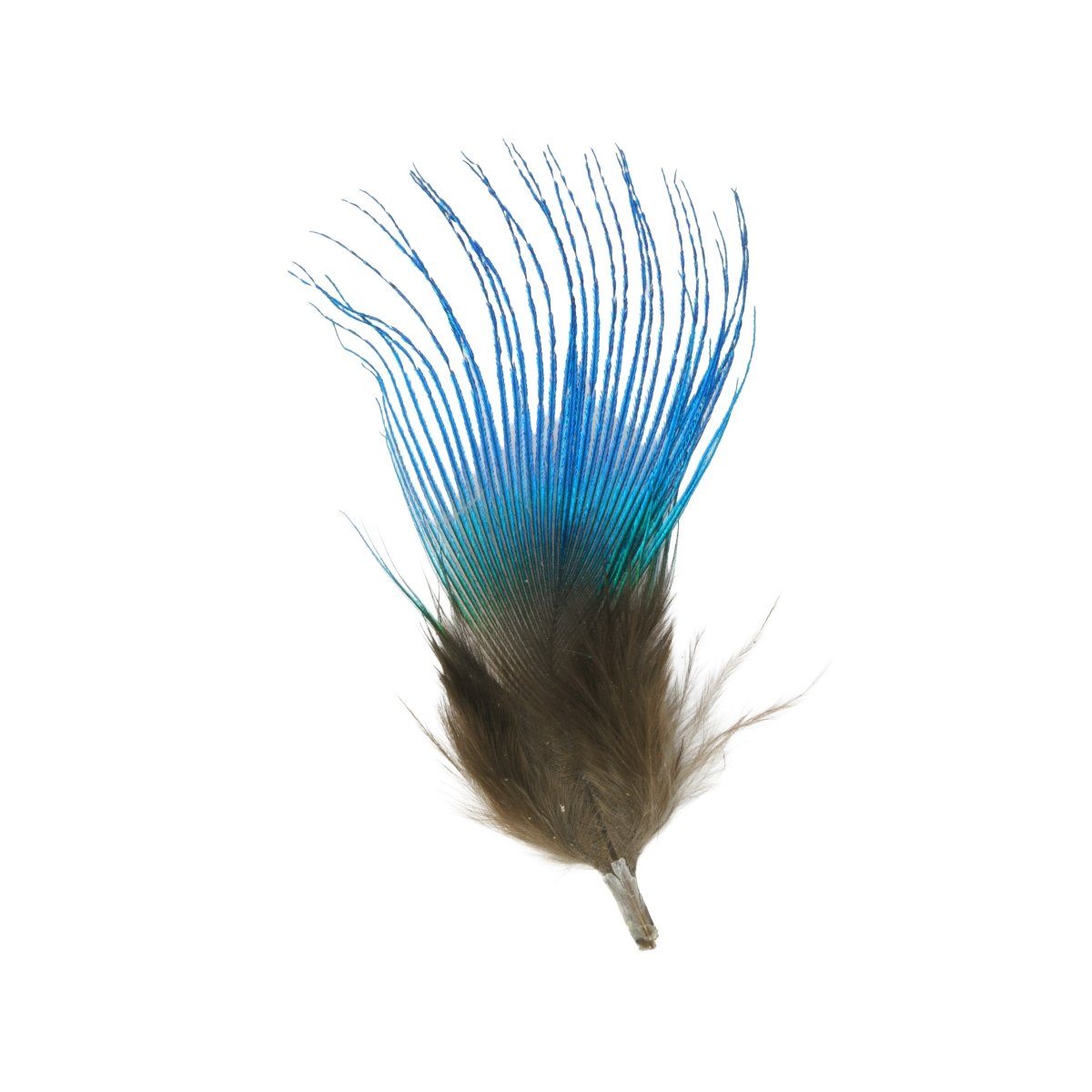 Hareline Dubbin - Hareline Blue Peacock Neck Feathers - Feather Craft Fly Fishing