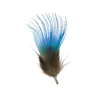 Hareline Dubbin - Hareline Blue Peacock Neck Feathers - Feather Craft Fly Fishing