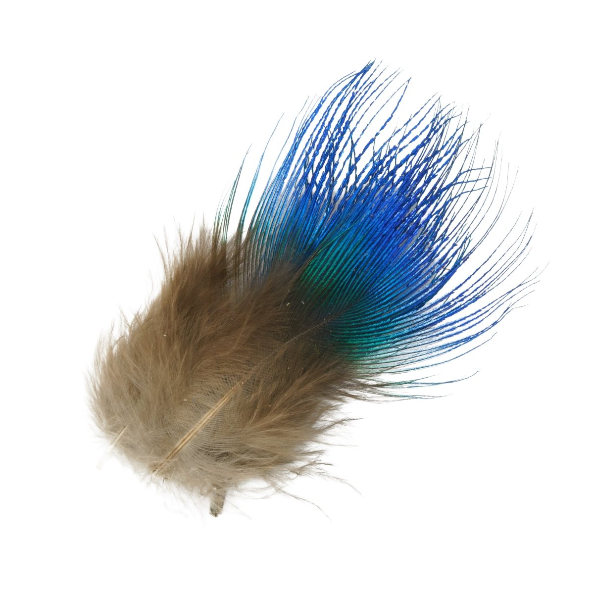 Hareline Dubbin - Hareline Blue Peacock Neck Feathers - Feather Craft Fly Fishing