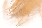 Hareline Dubbin - Hareline Bulk CDC 1-Gram Bulk Packs - Feather Craft Fly Fishing