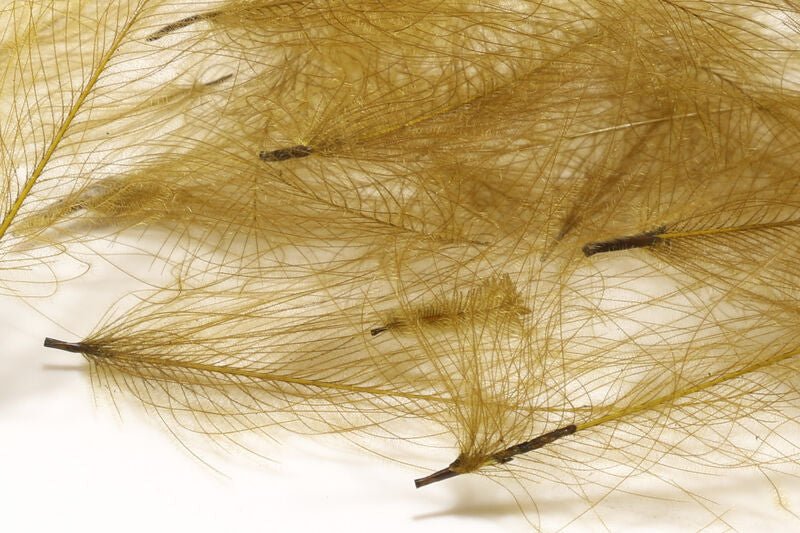 Hareline Dubbin - Hareline Bulk CDC 1-Gram Bulk Packs - Feather Craft Fly Fishing