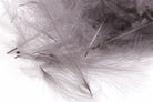 Hareline Dubbin - Hareline Bulk CDC 1-Gram Bulk Packs - Feather Craft Fly Fishing