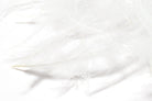 Hareline Dubbin - Hareline Bulk CDC 1-Gram Bulk Packs - Feather Craft Fly Fishing