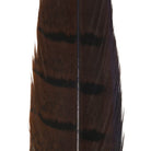 Hareline Dubbin - Hareline Dyed Pheasant Tails - Feather Craft Fly Fishing