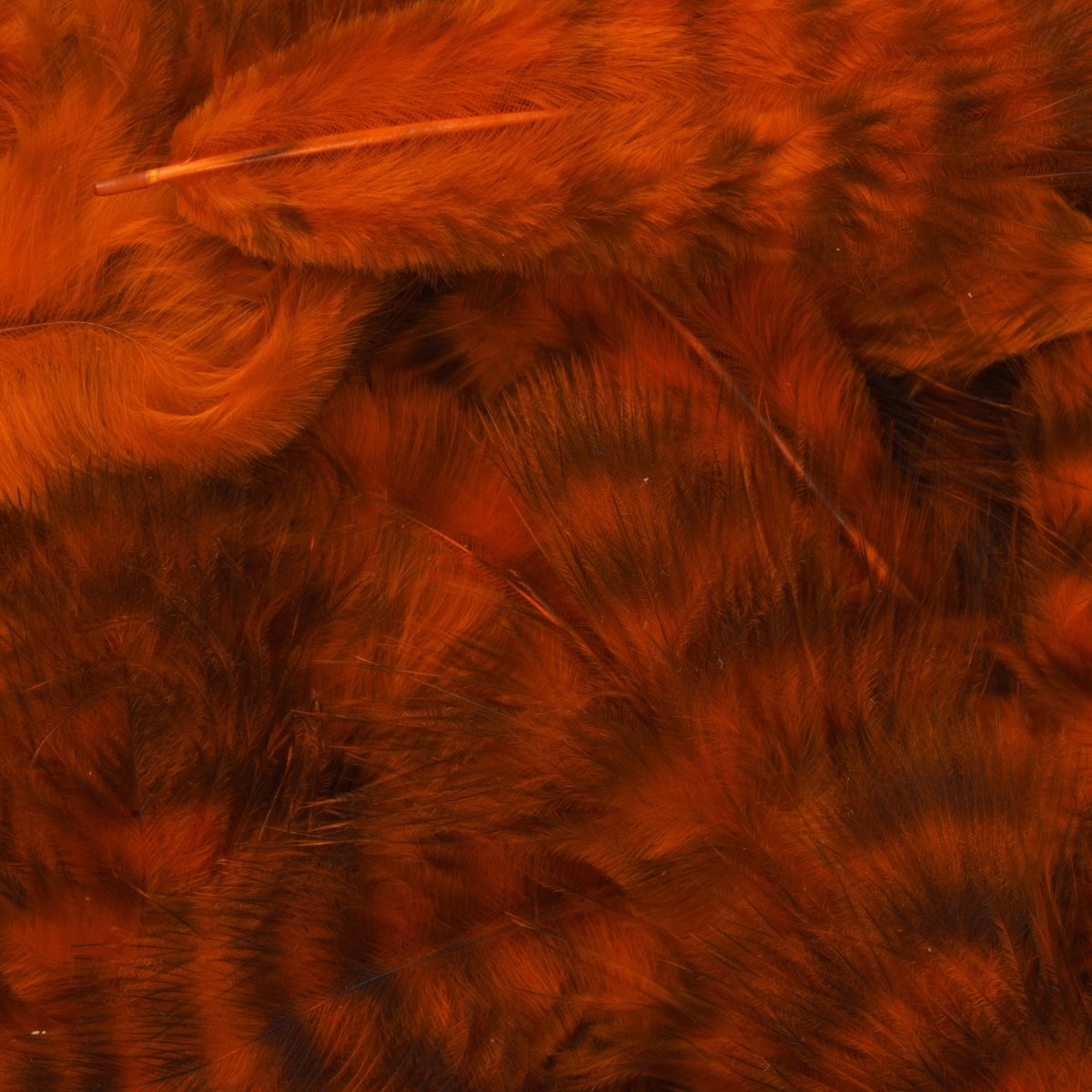 Hareline Dubbin - Hareline Grizzly Mini Marabou - Feather Craft Fly Fishing