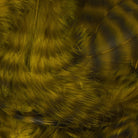 Hareline Dubbin - Hareline Grizzly Soft Hackle - Feather Craft Fly Fishing