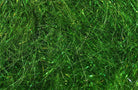 Hareline Dubbin - Hareline Hare E' Ice Dubbing - Feather Craft Fly Fishing