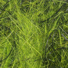 Hareline Dubbin - Hareline Hare'E Wiggle Dub - Feather Craft Fly Fishing