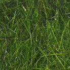 Hareline Dubbin - Hareline Hare'E Wiggle Dub - Feather Craft Fly Fishing