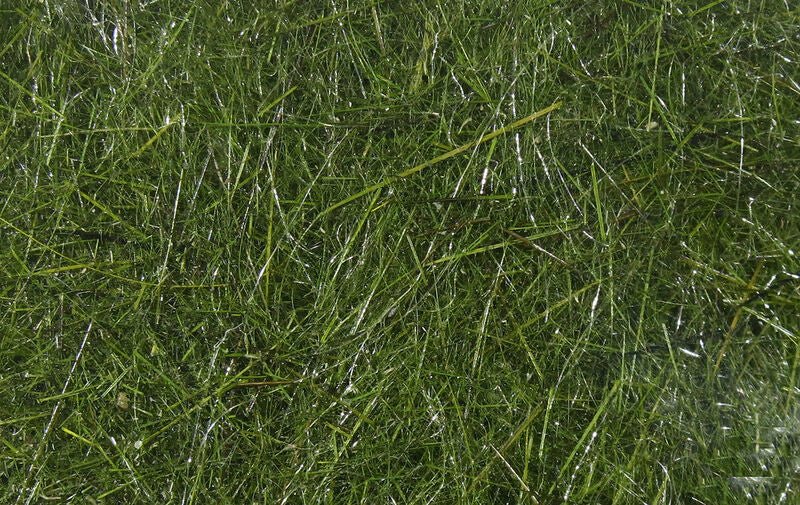 Hareline Dubbin - Hareline Hares Ear Plus Dubbing - Feather Craft Fly Fishing