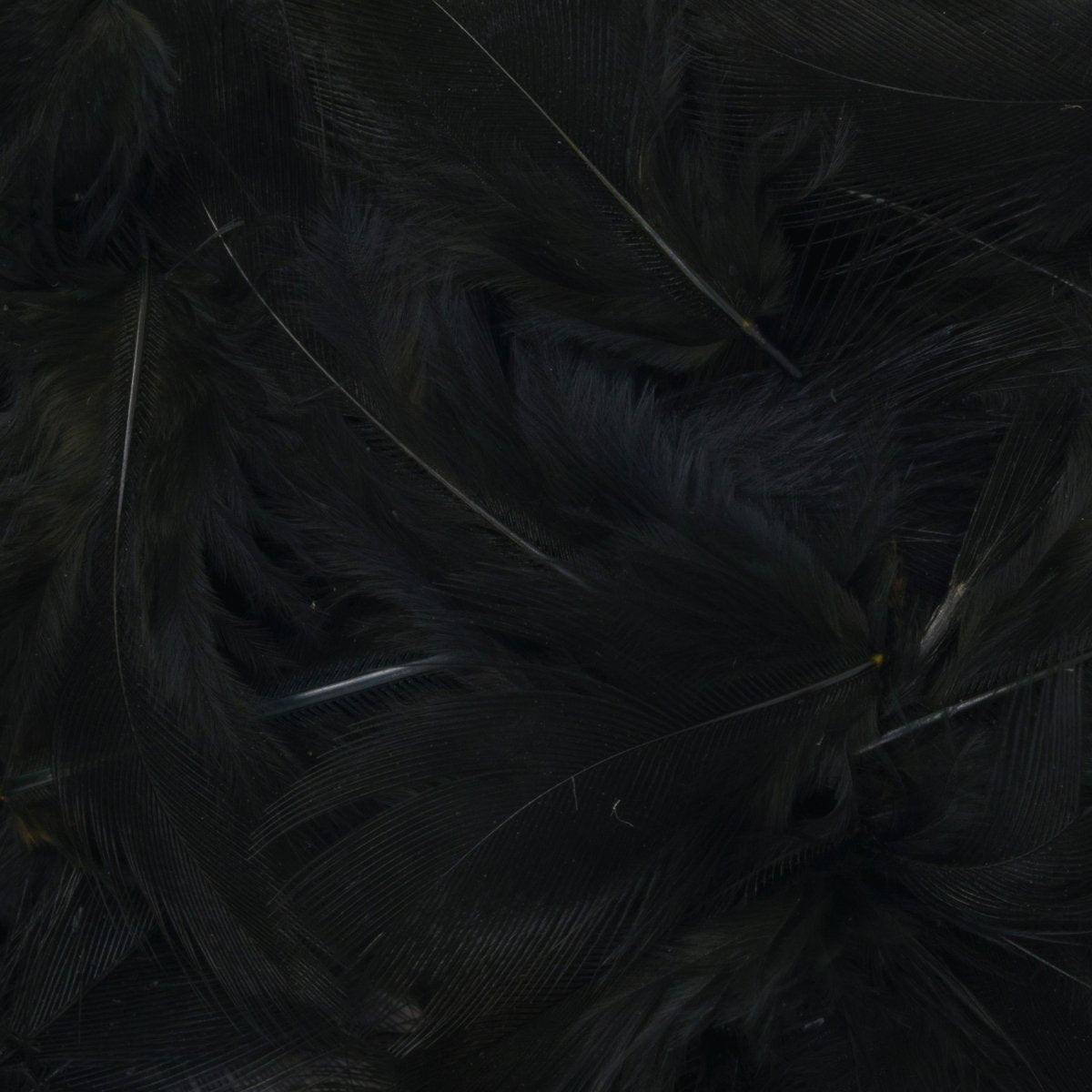 Hareline Dubbin - Hareline Premium Hungarian Partridge Feathers - Feather Craft Fly Fishing