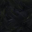Hareline Dubbin - Hareline Premium Hungarian Partridge Feathers - Feather Craft Fly Fishing