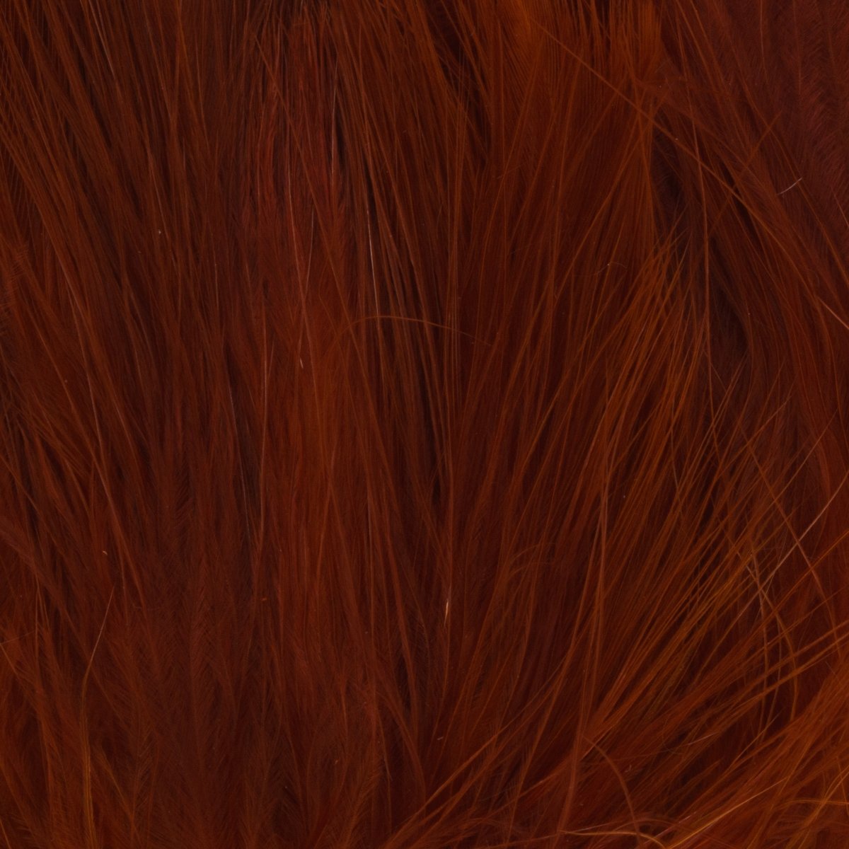 Hareline Dubbin - Hareline Premium Marabou Blood Quills 4-5" - Feather Craft Fly Fishing