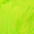 Hareline Dubbin - Hareline Premo Turkey Flats - Feather Craft Fly Fishing