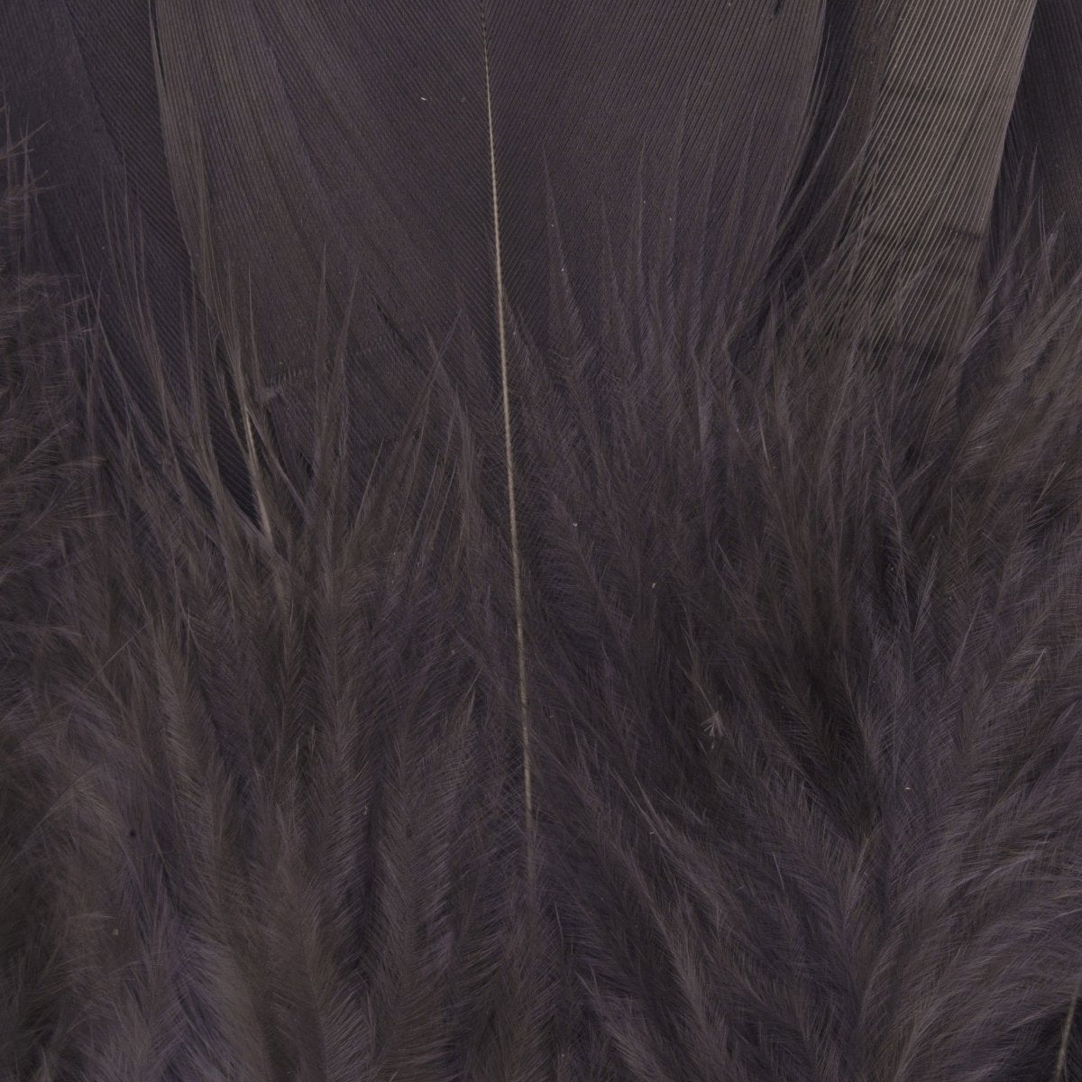 Hareline Dubbin - Hareline Premo Turkey Flats - Feather Craft Fly Fishing