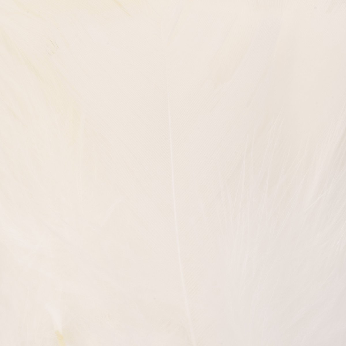 Hareline Dubbin - Hareline Premo Turkey Flats - Feather Craft Fly Fishing