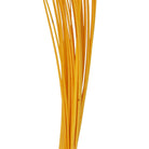 Hareline Dubbin - Hareline Quill Body - Feather Craft Fly Fishing