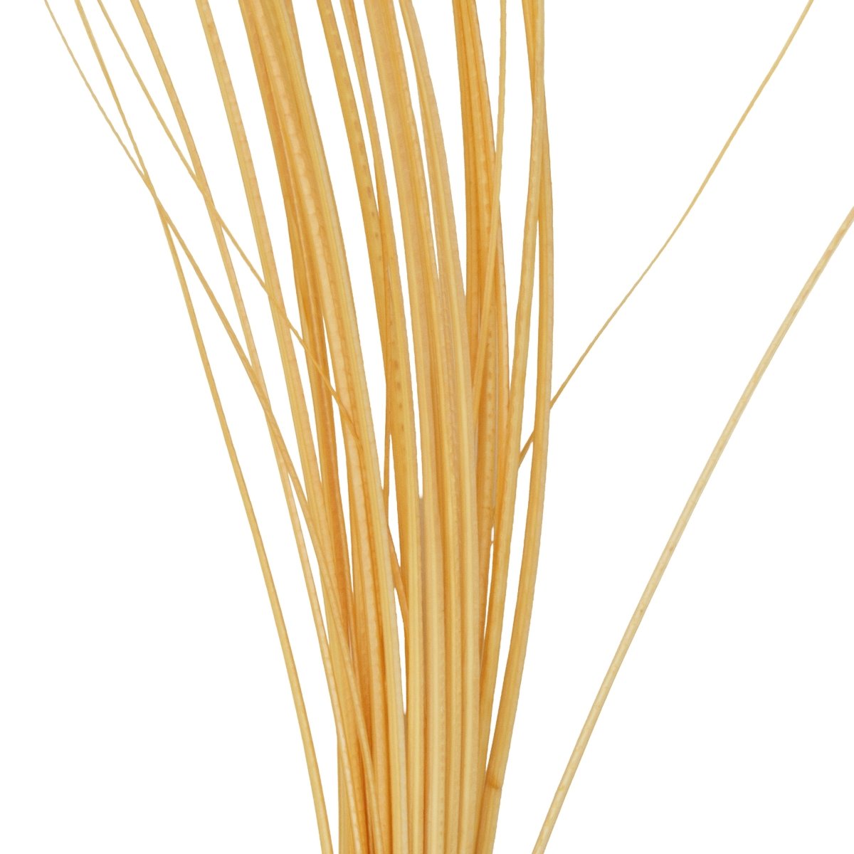 Hareline Dubbin - Hareline Quill Body - Feather Craft Fly Fishing
