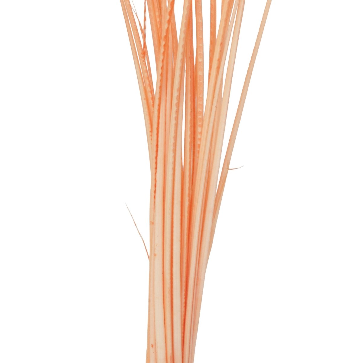 Hareline Dubbin - Hareline Quill Body - Feather Craft Fly Fishing