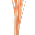 Hareline Dubbin - Hareline Quill Body - Feather Craft Fly Fishing