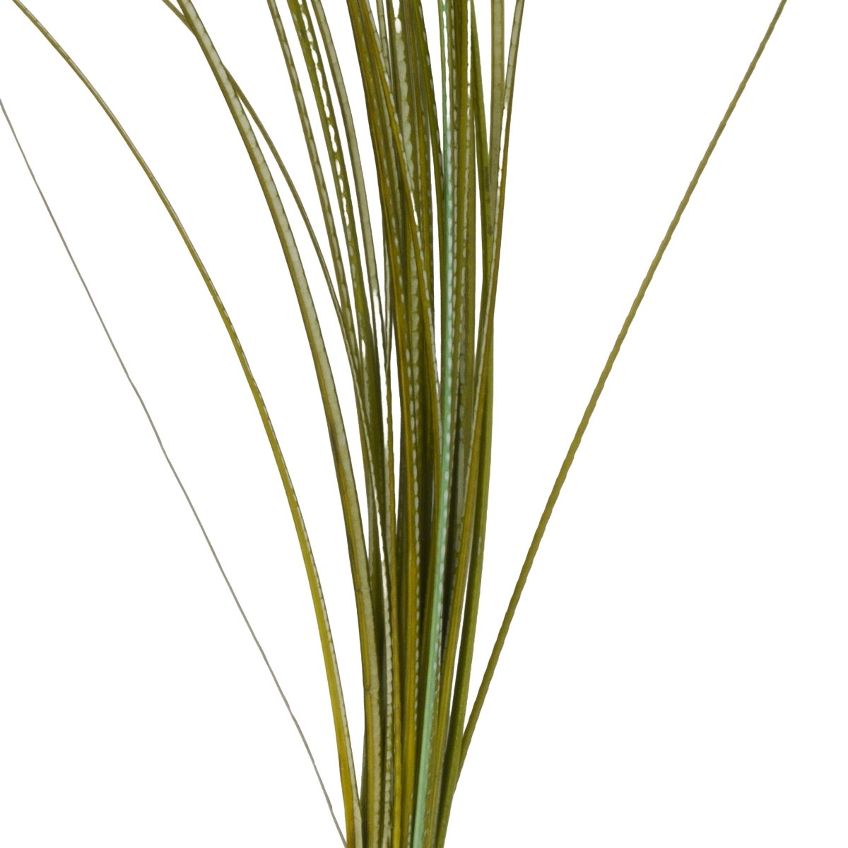 Hareline Dubbin - Hareline Quill Body - Feather Craft Fly Fishing